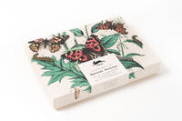 Vorderes Coverbild Natural History