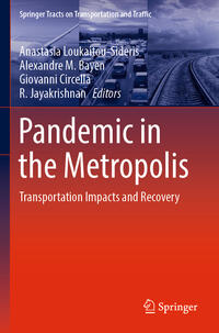 Vorderes Coverbild Pandemic in the Metropolis