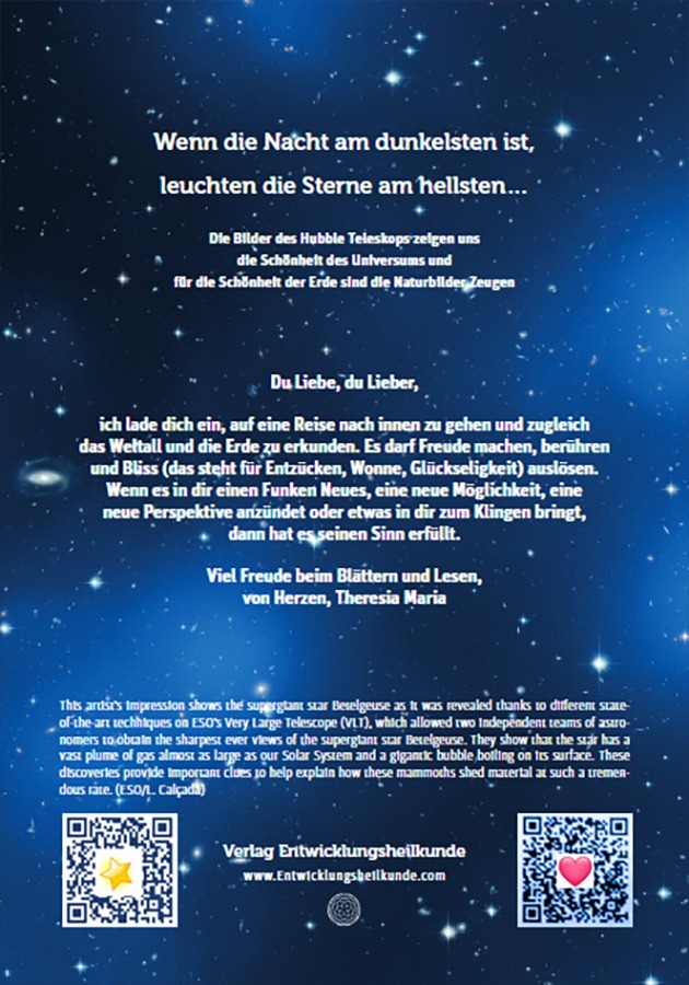 Rückseitencover Blissful Leben