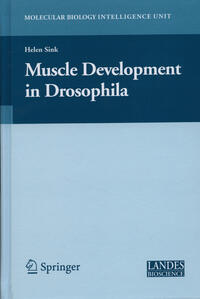 Vorderes Coverbild Muscle Development in Drosophilia