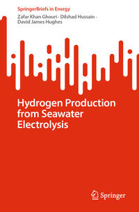 Vorderes Coverbild Hydrogen Production from Seawater Electrolysis