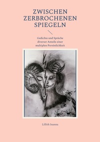 Vorderes Coverbild Zwischen Zerbrochenen Spiegeln