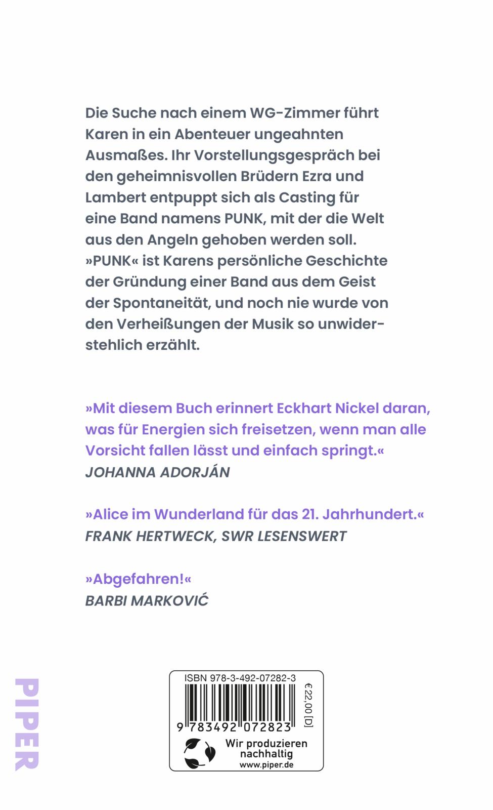 Rückseitencover Punk