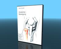Vorderes Coverbild Anatomie des Bewegungsapparates