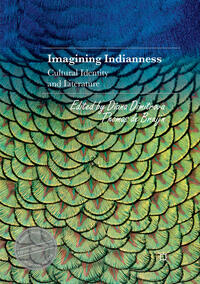 Vorderes Coverbild Imagining Indianness