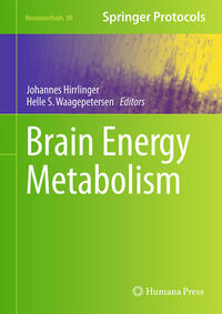 Vorderes Coverbild Brain Energy Metabolism