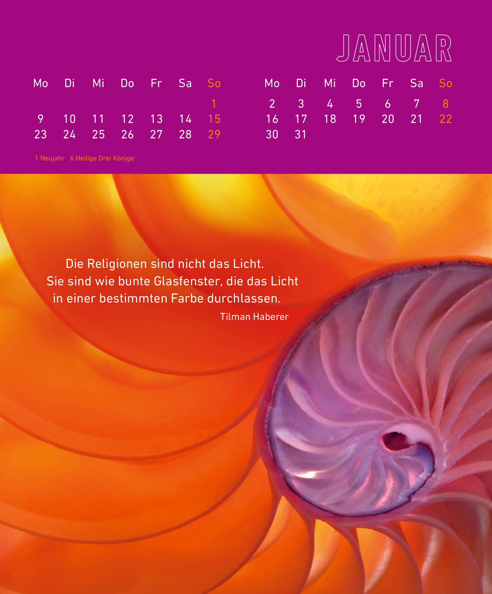 Beispielinhalt (Bild) EinSichten 2023