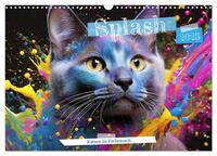 Vorderes Coverbild Splash - Katzen im Farbrausch (Wandkalender 2025 DIN A3 quer), CALVENDO Monatskalender