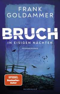 Vorderes Coverbild Bruch: In eisigen Nächten