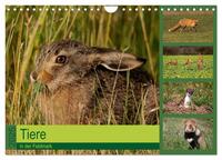 Vorderes Coverbild Tiere in der Feldmark (Wandkalender 2025 DIN A4 quer), CALVENDO Monatskalender