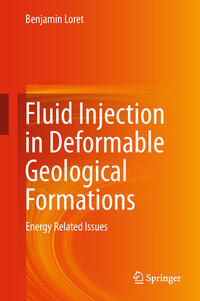 Vorderes Coverbild Fluid Injection in Deformable Geological Formations