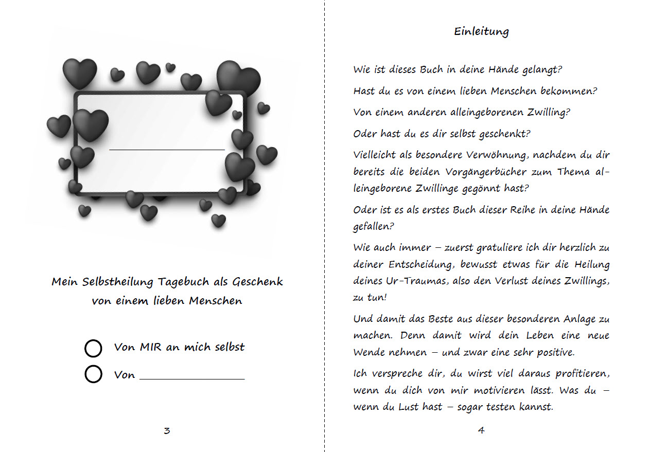 Beispielinhalt (Bild) Alleingeborener Zwilling im Rendezvous mit dir selbst