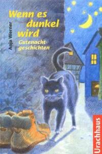 Vorderes Coverbild Wenn es dunkel wird