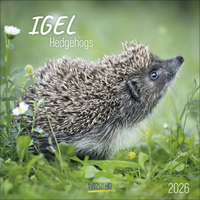 Vorderes Coverbild Igel 2026