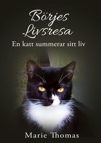 Vorderes Coverbild Börjes livsresa