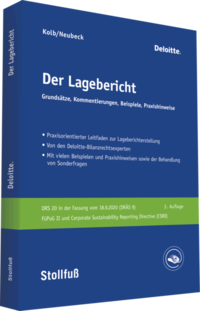Vorderes Coverbild Der Lagebericht