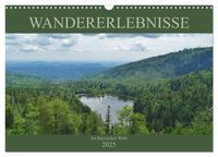 Vorderes Coverbild Wandererlebnisse im Bayrischen Wald (Wandkalender 2025 DIN A3 quer), CALVENDO Monatskalender