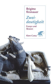 Vorderes Coverbild Zweideutigkeit