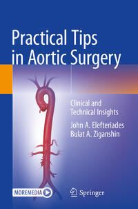 Vorderes Coverbild Practical Tips in Aortic Surgery