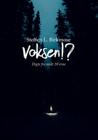 Vorderes Coverbild Voksen!?