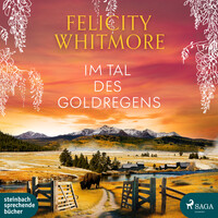 Vorderes Coverbild Im Tal des Goldregens