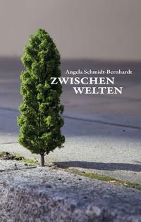 Vorderes Coverbild Zwischenwelten
