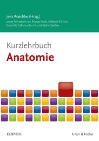 Vorderes Coverbild Kurzlehrbuch Anatomie
