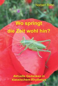 Vorderes Coverbild Wo springt die Zeit wohl hin?