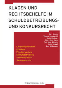 Vorderes Coverbild Klagen und Rechtsbehelfe im Schuldbetreibungs- und Konkursrecht