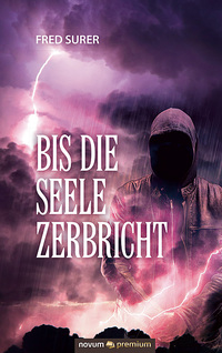 Vorderes Coverbild Bis die Seele zerbricht