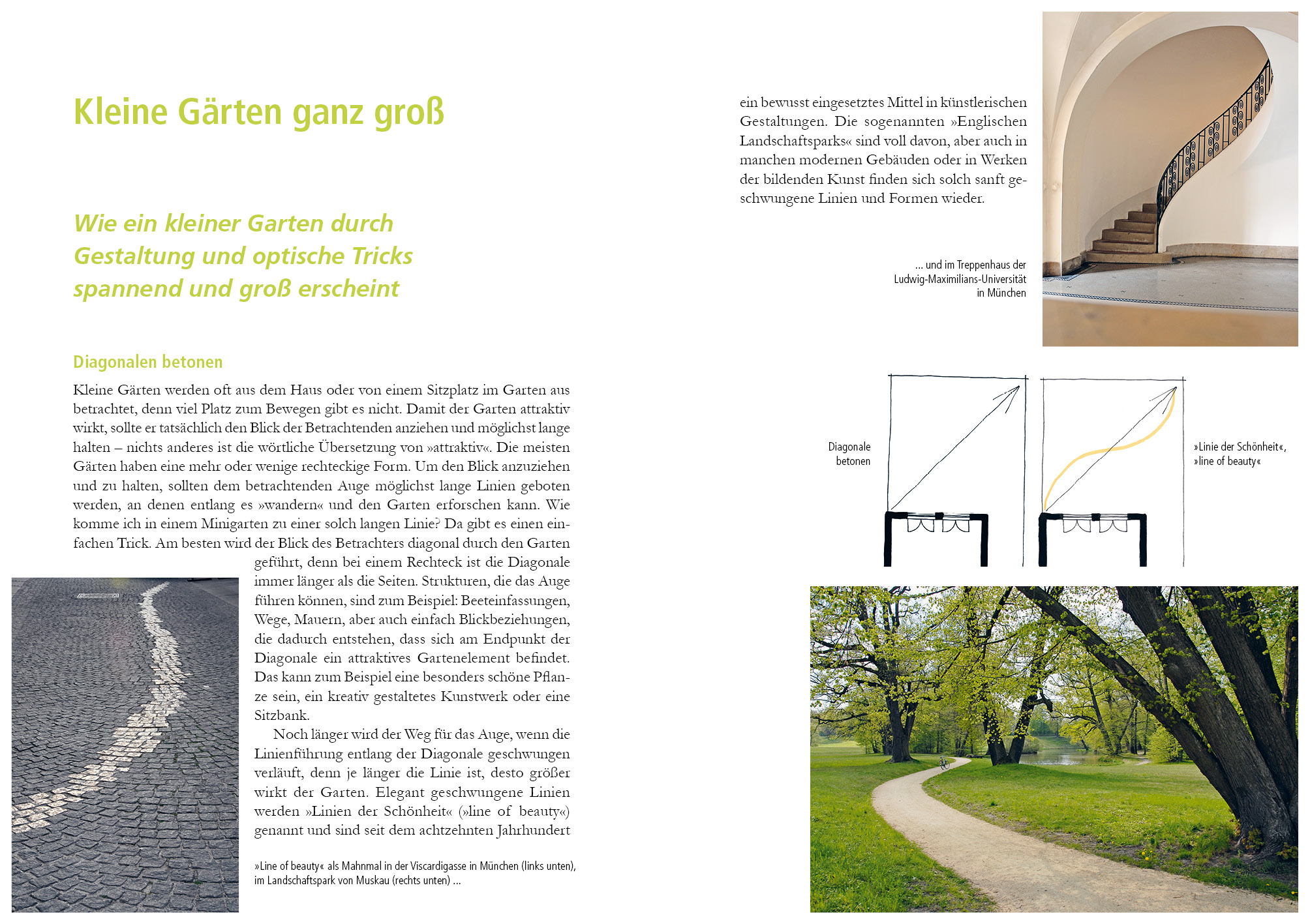Beispielinhalt (Bild) Kleiner Garten naturnah