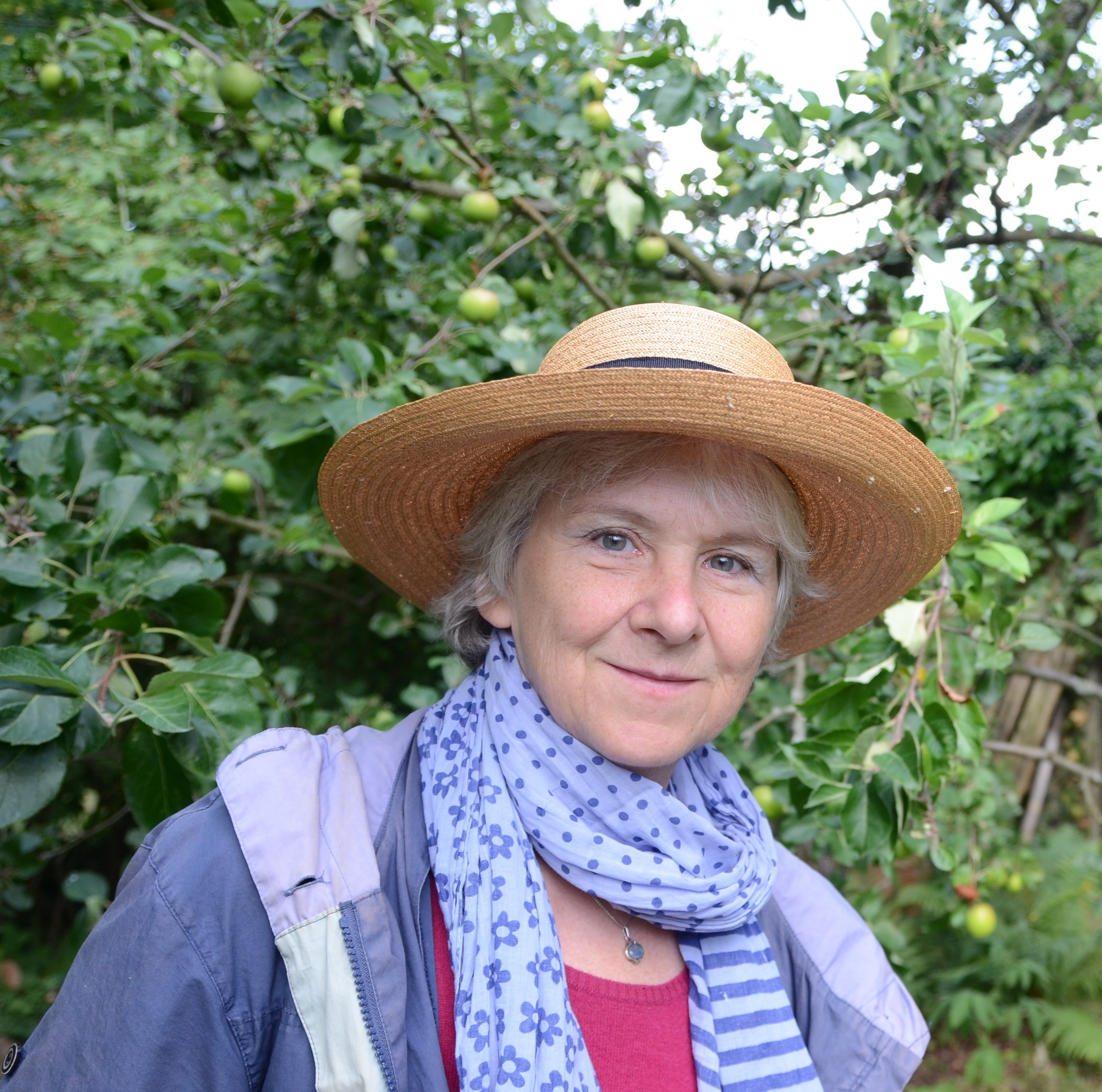 Bild des Mitwirkenden Kleiner Garten naturnah