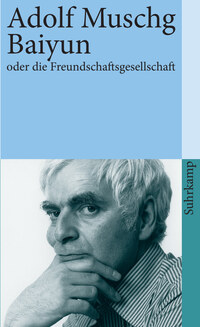 Vorderes Coverbild Baiyun oder die Freundschaftsgesellschaft