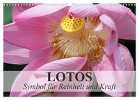 Vorderes Coverbild Lotos - Symbol für Reinheit und Kraft (Wandkalender 2025 DIN A3 quer), CALVENDO Monatskalender