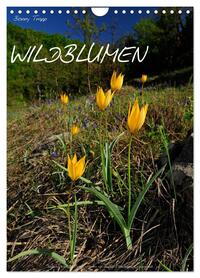Vorderes Coverbild WILDBLUMEN (Wandkalender 2026 DIN A4 hoch), CALVENDO Monatskalender