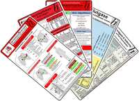 Vorderes Coverbild Intensiv-Station Karten-Set 2025 - EKG Diagnostik & Ableitungen, Herzrhythmusstörungen, Reanimation - Innerklinisch, Blutgase, Säure-Basen & Elektrolyte -Intensiv-, Analgesie & Sedierung auf der Intensivstation