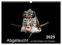 Vorderes Coverbild Abgetaucht - an den Küsten vor Curaçao (Wandkalender 2025 DIN A3 quer), CALVENDO Monatskalender