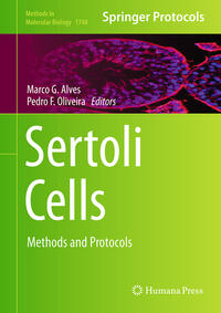 Vorderes Coverbild Sertoli Cells