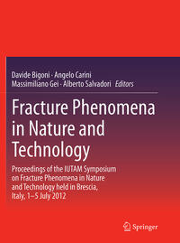 Vorderes Coverbild Fracture Phenomena in Nature and Technology