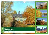 Vorderes Coverbild Reinbek, Tor zum Sachsenwald (Wandkalender 2025 DIN A4 quer), CALVENDO Monatskalender