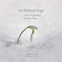 Vorderes Coverbild Die Parzival-Frage