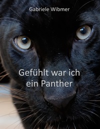 Vorderes Coverbild Gefühlt war ich ein Panther