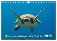 Vorderes Coverbild Meeresschildkröten der Karibik (Wandkalender 2025 DIN A4 quer), CALVENDO Monatskalender
