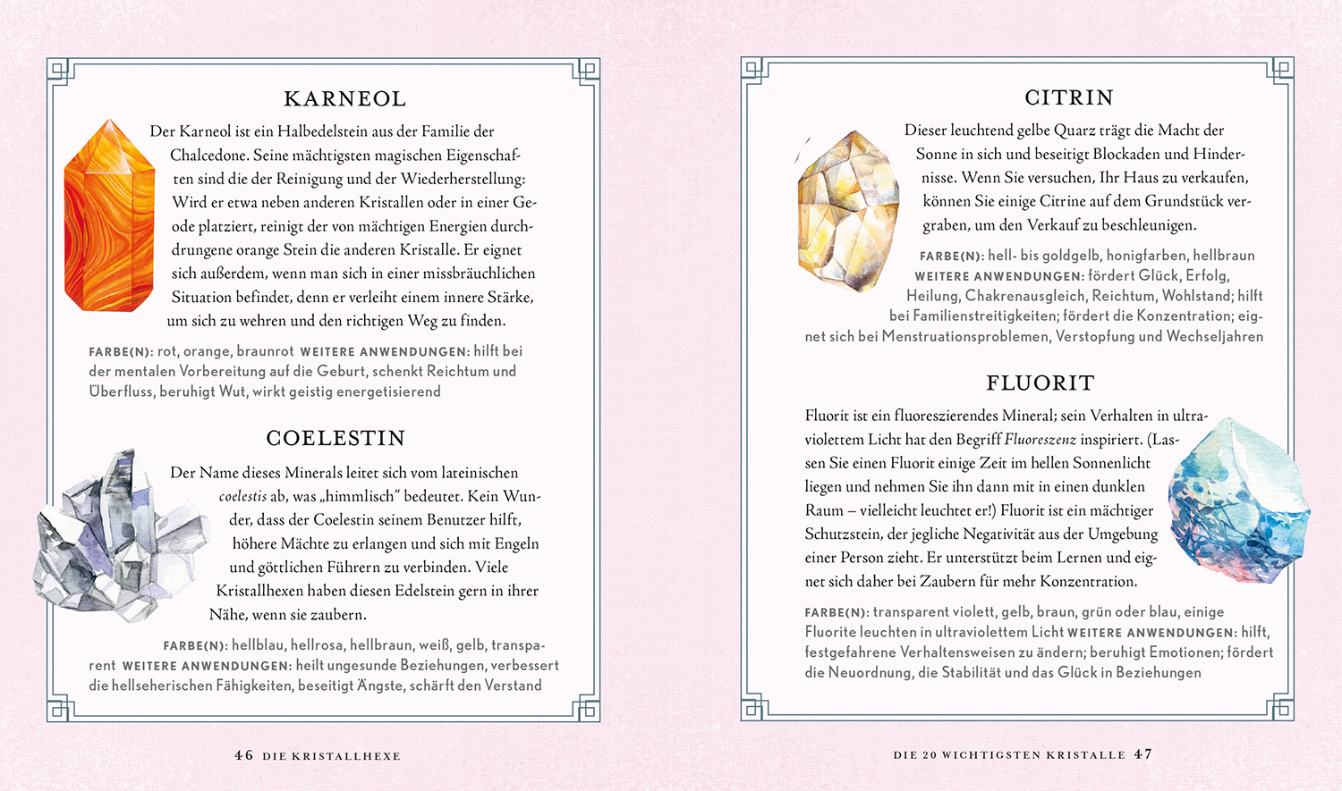 Beispielinhalt (Bild) Die Kristallhexe