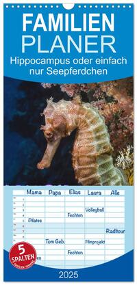 Vorderes Coverbild Familienplaner 2025 - Hippocampus oder einfach nur Seepferdchen mit 5 Spalten (Wandkalender, 21 x 45 cm) CALVENDO