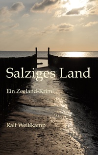 Vorderes Coverbild Salziges Land