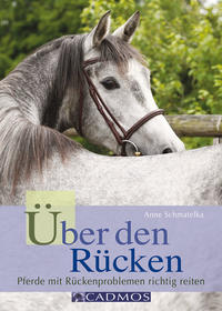 Vorderes Coverbild Über den Rücken
