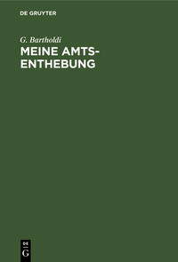 Vorderes Coverbild Meine Amts-Enthebung