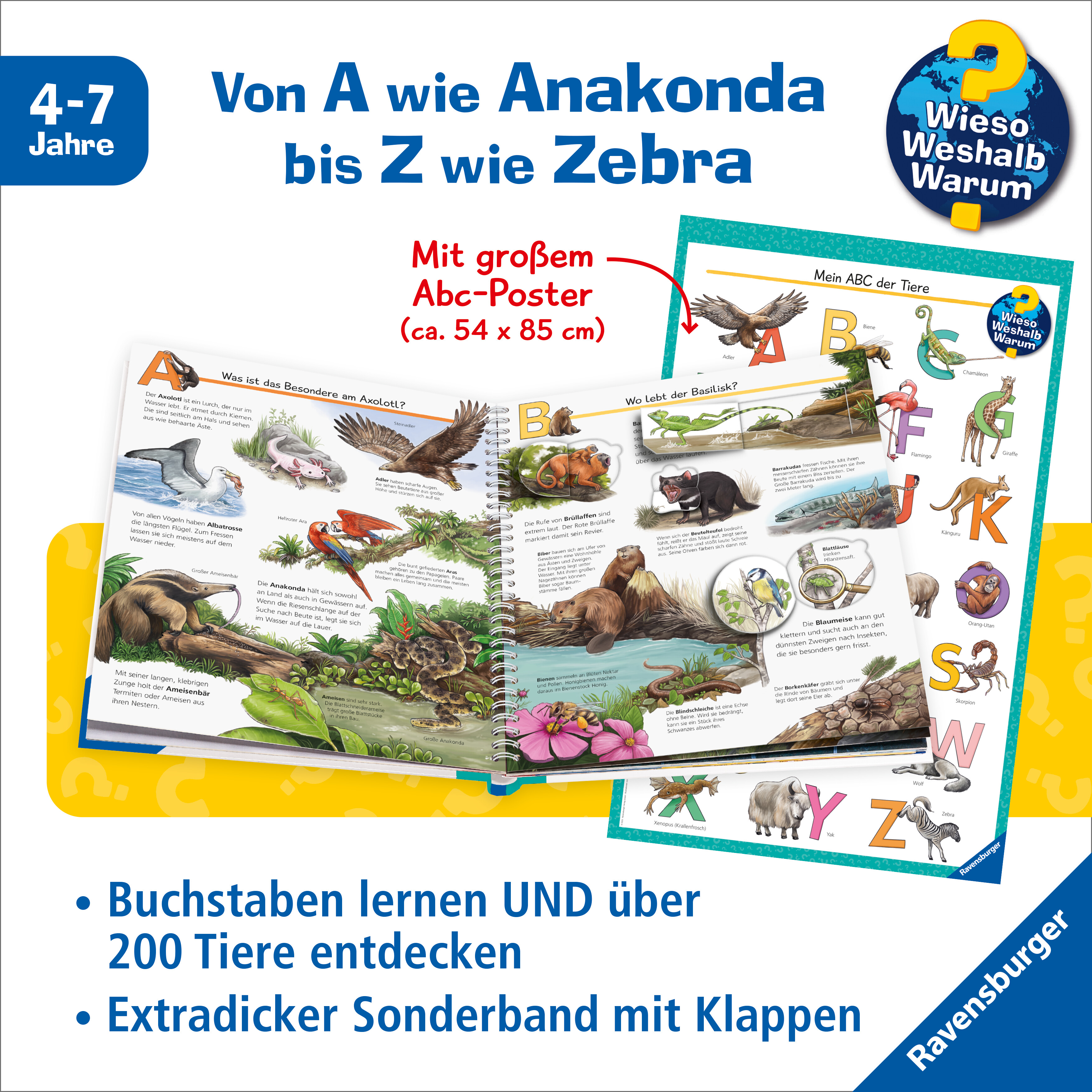 Beispielinhalt (Bild) Wieso? Weshalb? Warum? Kernreihe (4-7 J.) - Mein ABC der Tiere