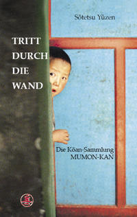 Vorderes Coverbild Tritt durch die Wand
